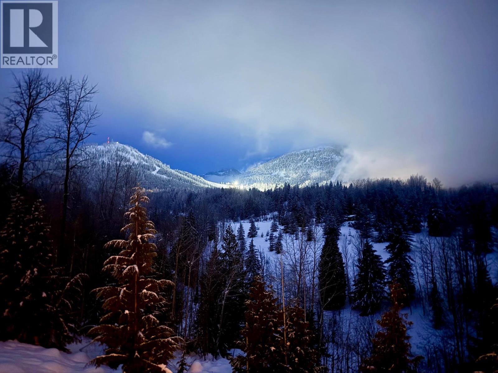 300 Richie Road, Rossland, British Columbia V0G 1Y0 - Photo 71 - 10372252