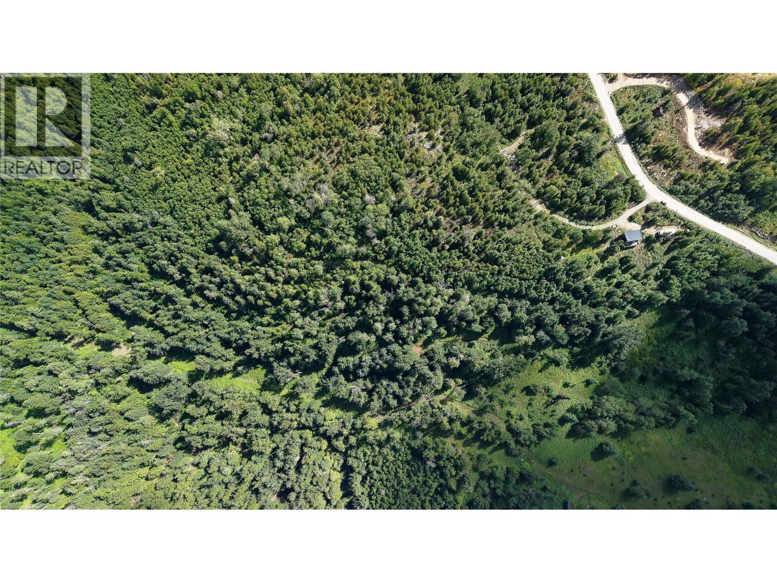 300 Richie Road, Rossland, British Columbia V0G 1Y0 - Photo 69 - 10372252