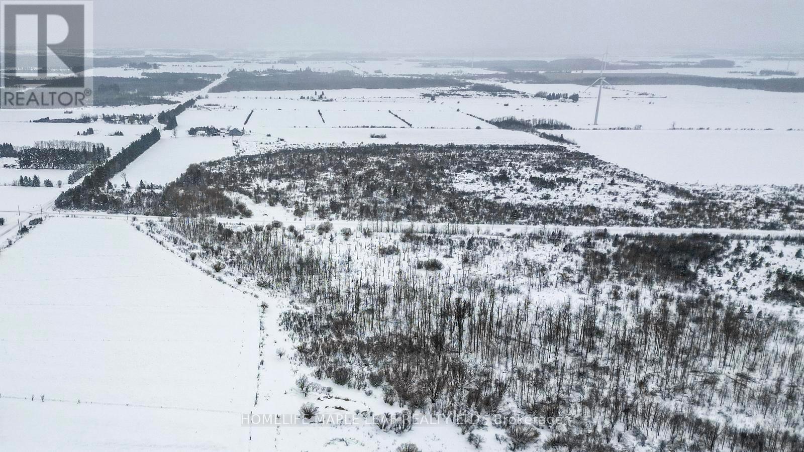 423365 25 Side Road, Amaranth, Ontario  L9V 1M3 - Photo 38 - X12730980