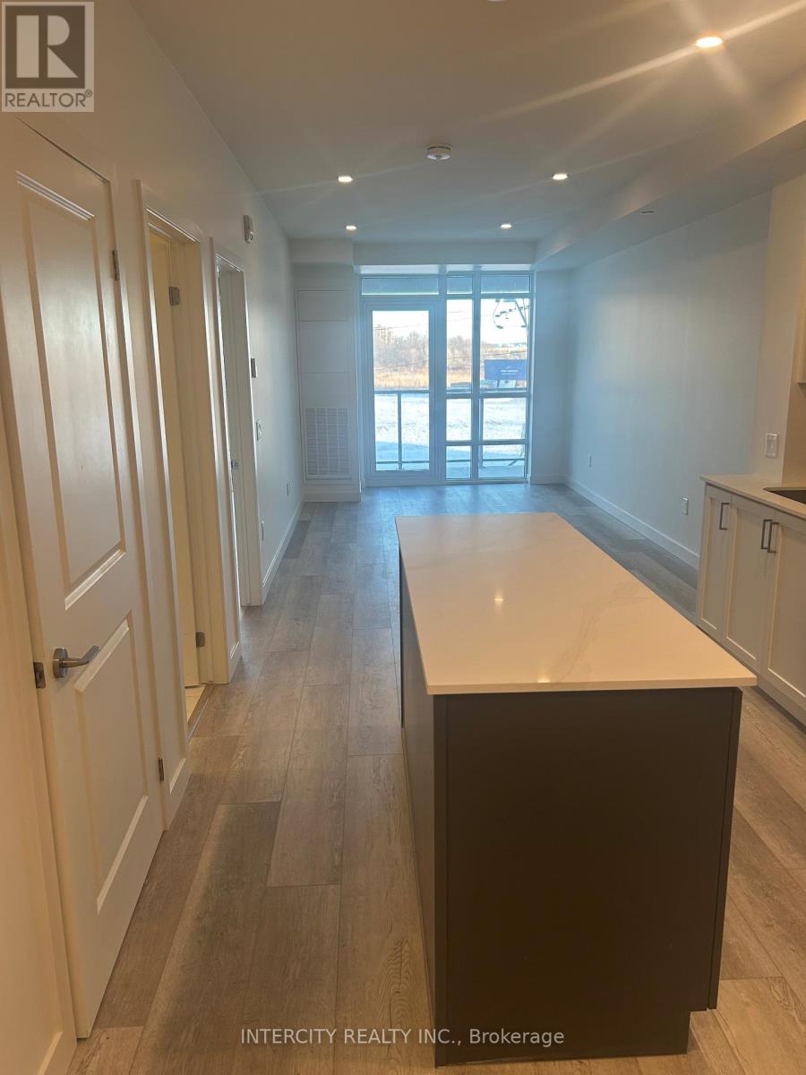 216 - 461 Green Road, Hamilton, Ontario  L8E 5B4 - Photo 4 - X12731016