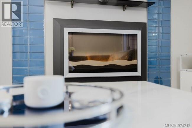 201 606 Speed Ave, Victoria, British Columbia  V8Z 1A4 - Photo 13 - 1024218