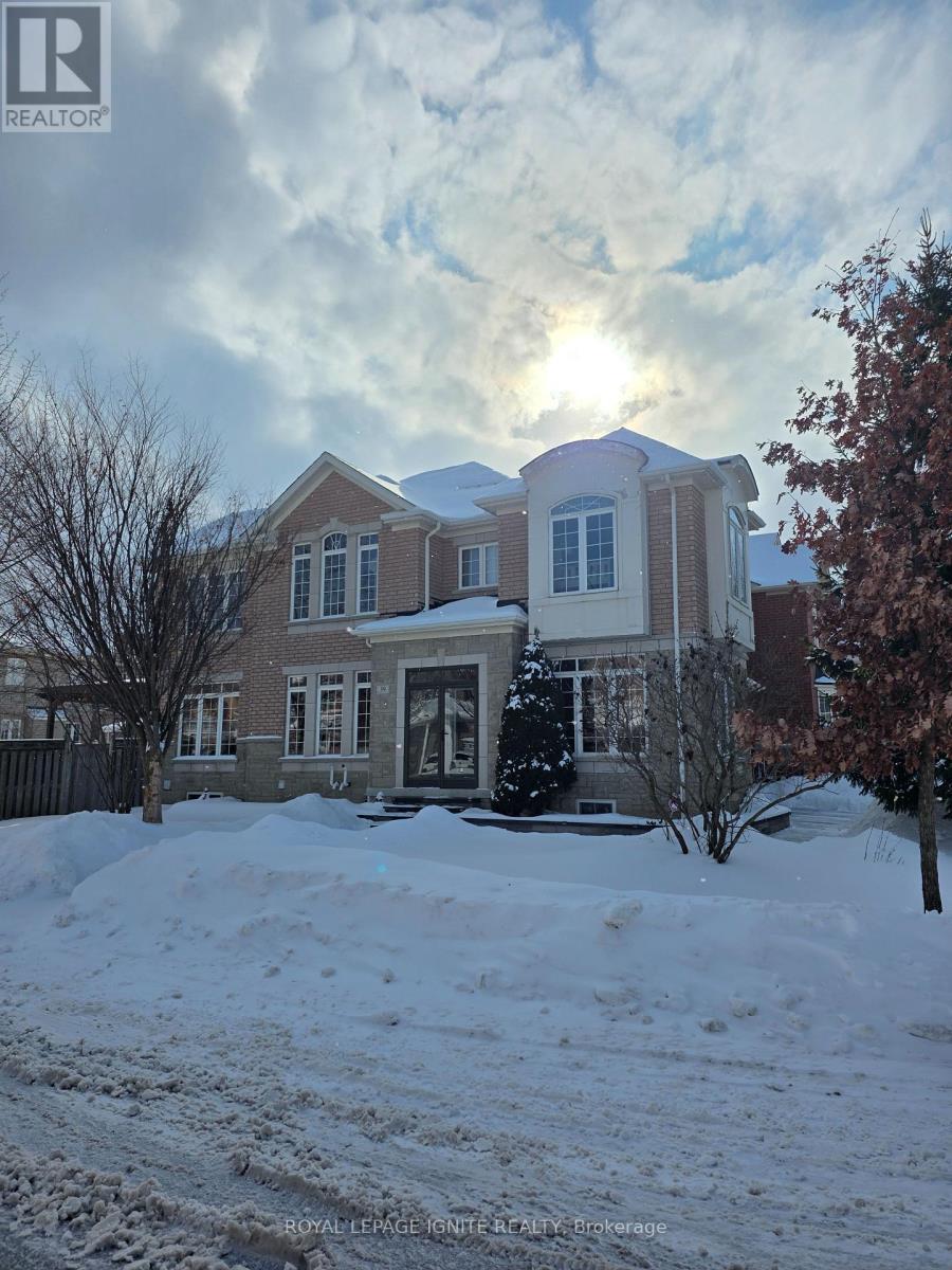 BSMT - 39 BEGONIA CRESCENT, Brampton, Ontario