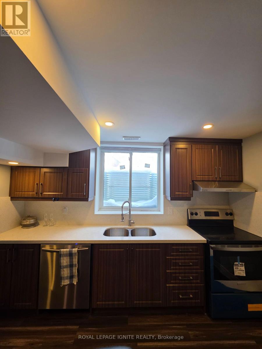 Bsmt - 39 Begonia Crescent, Brampton, Ontario  L7A 0M6 - Photo 11 - W12731024