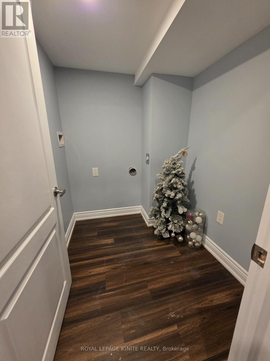 Bsmt - 39 Begonia Crescent, Brampton, Ontario  L7A 0M6 - Photo 17 - W12731024