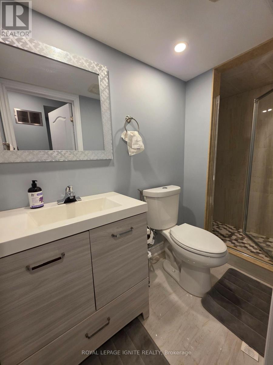 Bsmt - 39 Begonia Crescent, Brampton, Ontario  L7A 0M6 - Photo 18 - W12731024