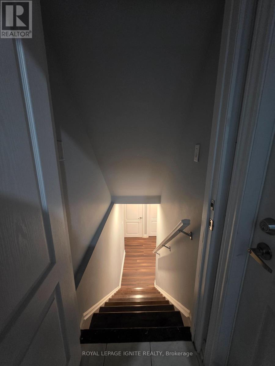 Bsmt - 39 Begonia Crescent, Brampton, Ontario  L7A 0M6 - Photo 5 - W12731024