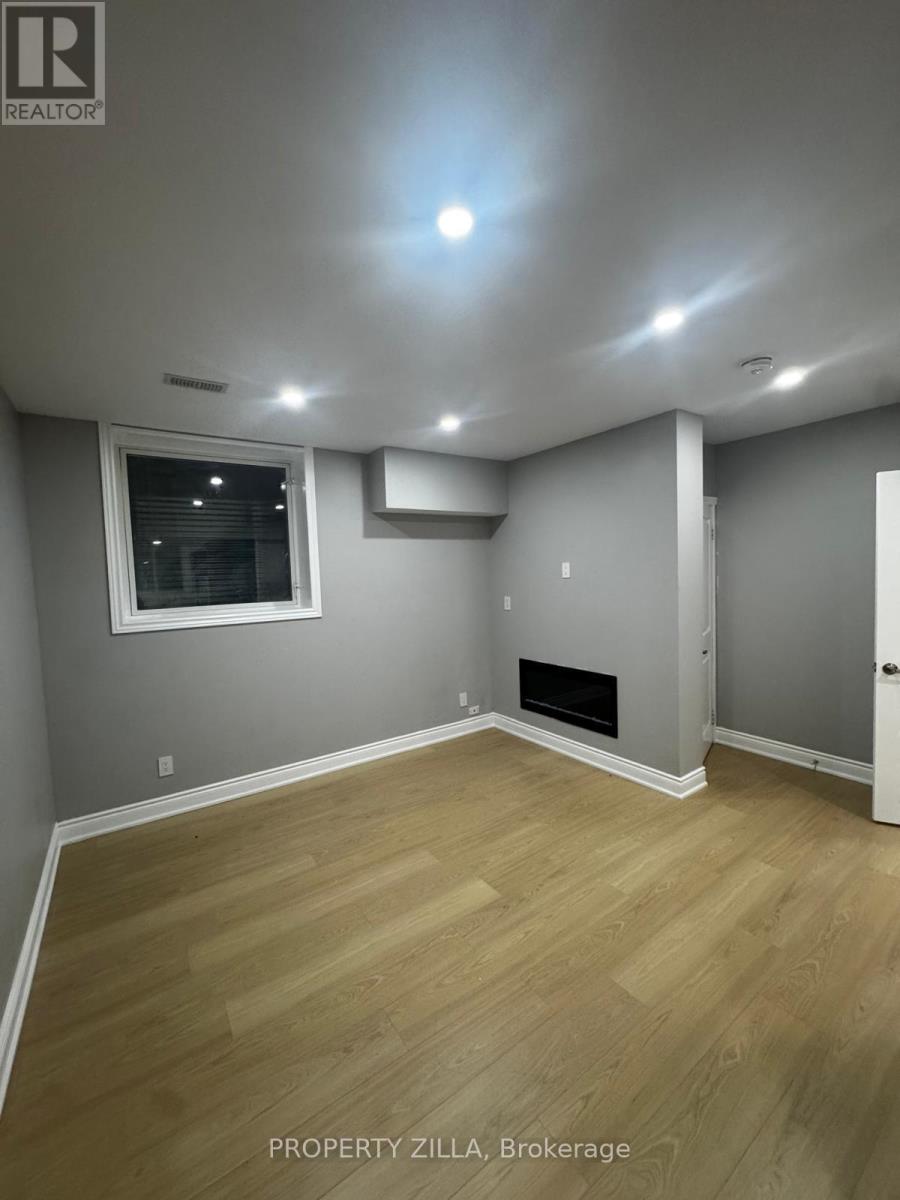 Basement - 163 Freure Drive, Cambridge, Ontario  N1S 0A2 - Photo 3 - X12731138