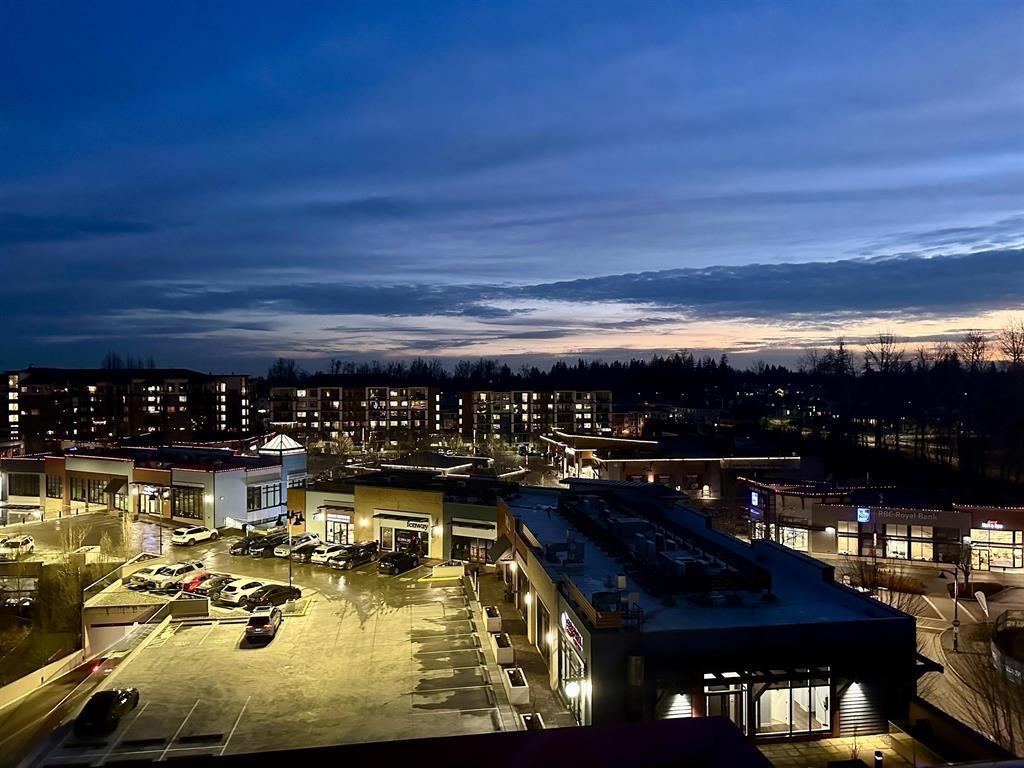 A615 7980 206a Street, Langley, British Columbia  V2Y 3Z8 - Photo 27 - R3083341