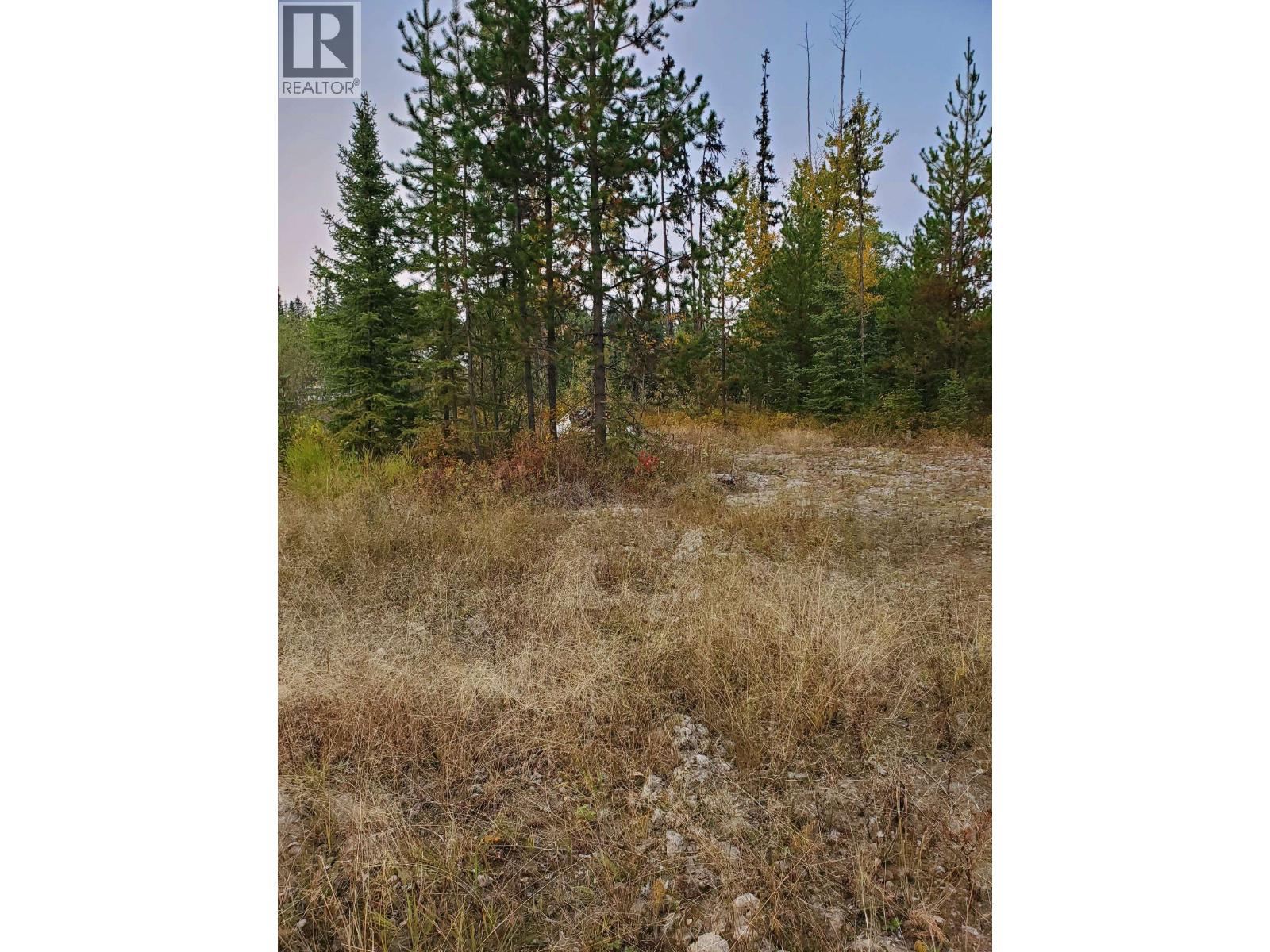 10000 W Hartman Road, Prince George, British Columbia  V2N 6L6 - Photo 4 - R3082925