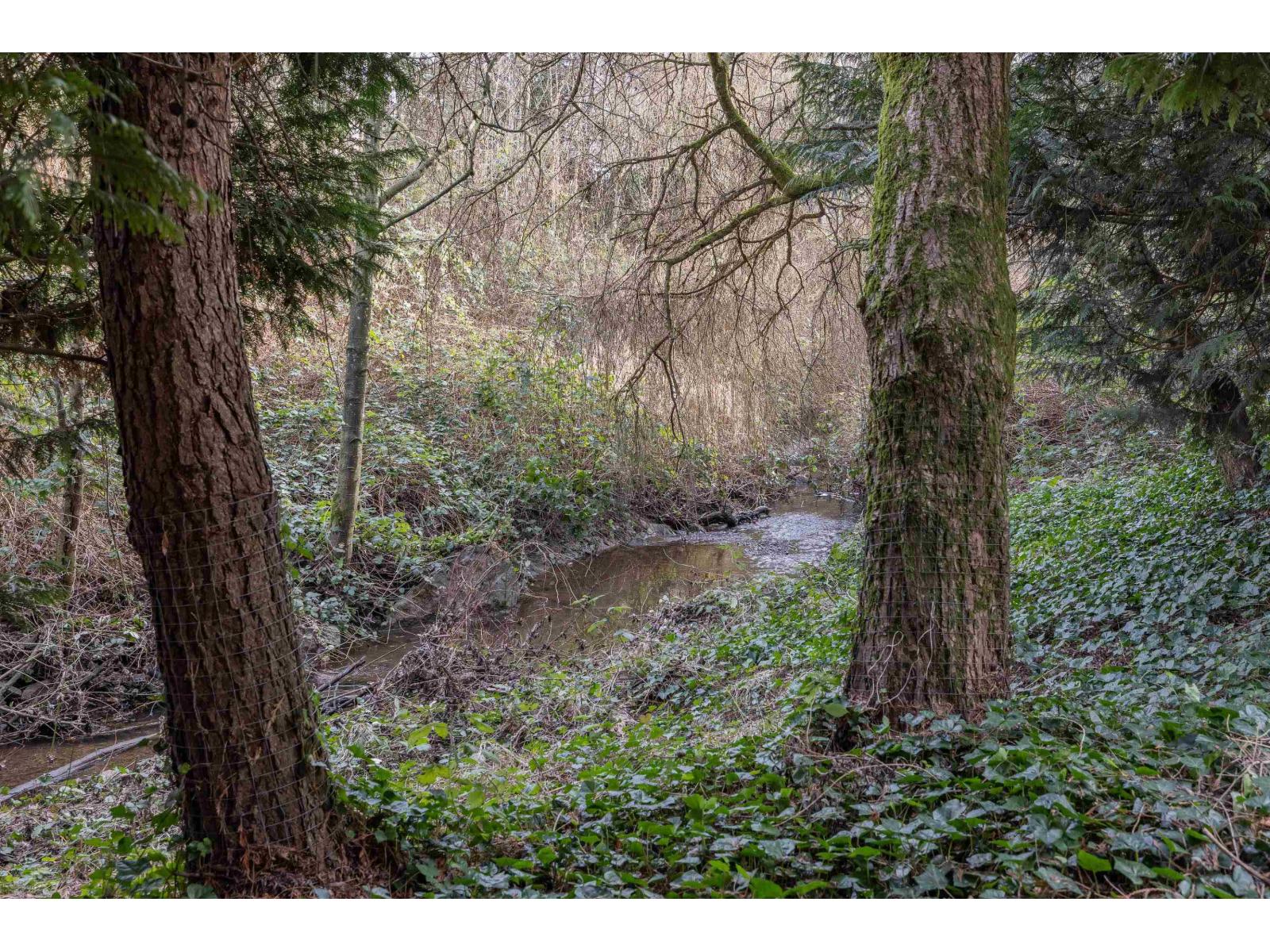 261 27358 32 Avenue, Langley, British Columbia  V4W 3M5 - Photo 26 - R3081762