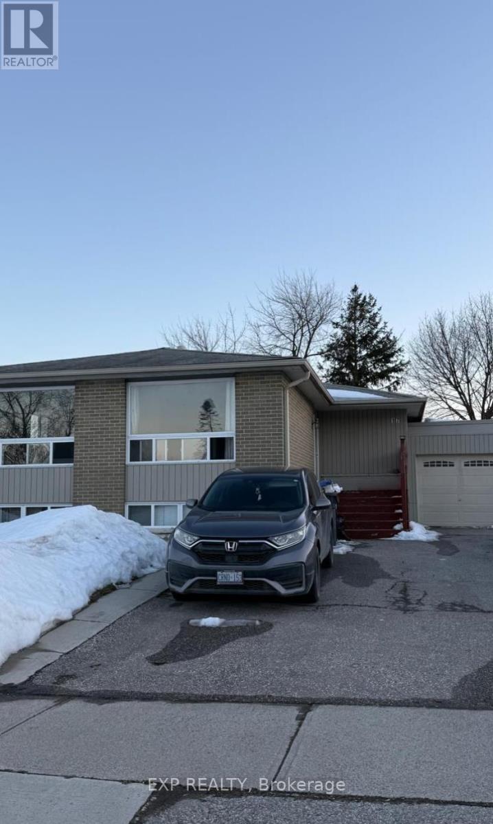 BASEMENT - 17 GABLE DRIVE, Brampton, Ontario