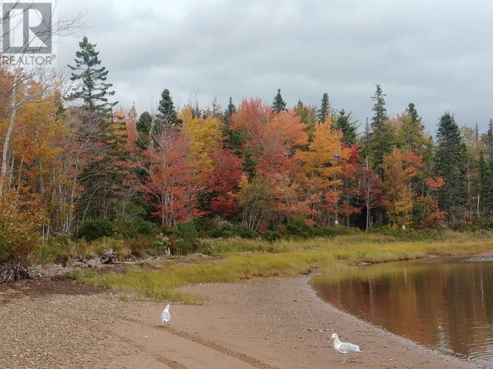 Acreage 22.0 Acres Point Pleasant Road, Murray River, Prince Edward Island  C0A 1W0 - Photo 18 - 202601486