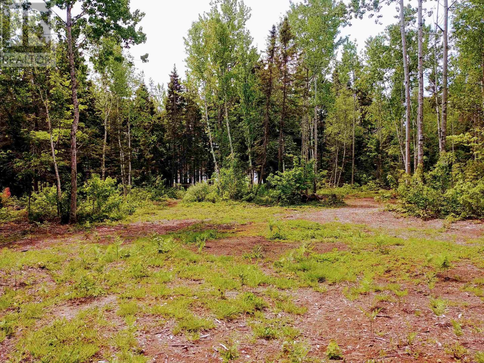 Acreage 22.0 Acres Point Pleasant Road, Murray River, Prince Edward Island  C0A 1W0 - Photo 11 - 202601486