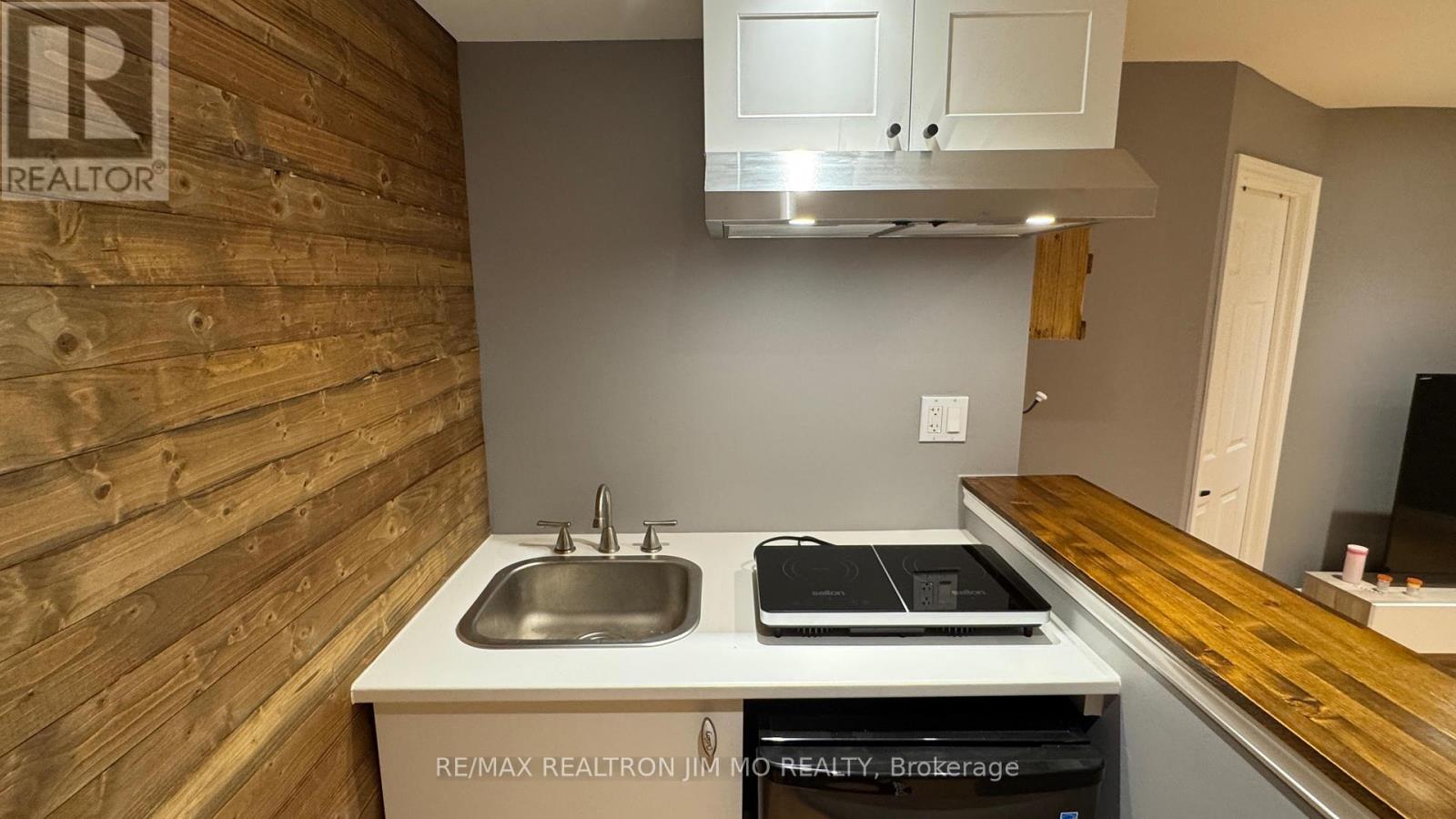 Basement - 50 Reginald Crescent, Markham, Ontario  L3P 3T7 - Photo 11 - N12719952