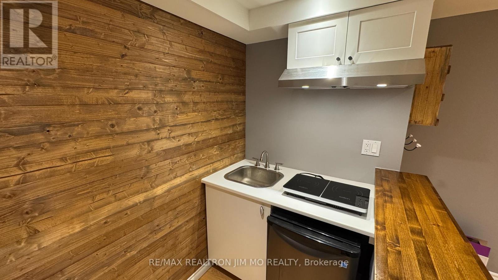 Basement - 50 Reginald Crescent, Markham, Ontario  L3P 3T7 - Photo 12 - N12719952