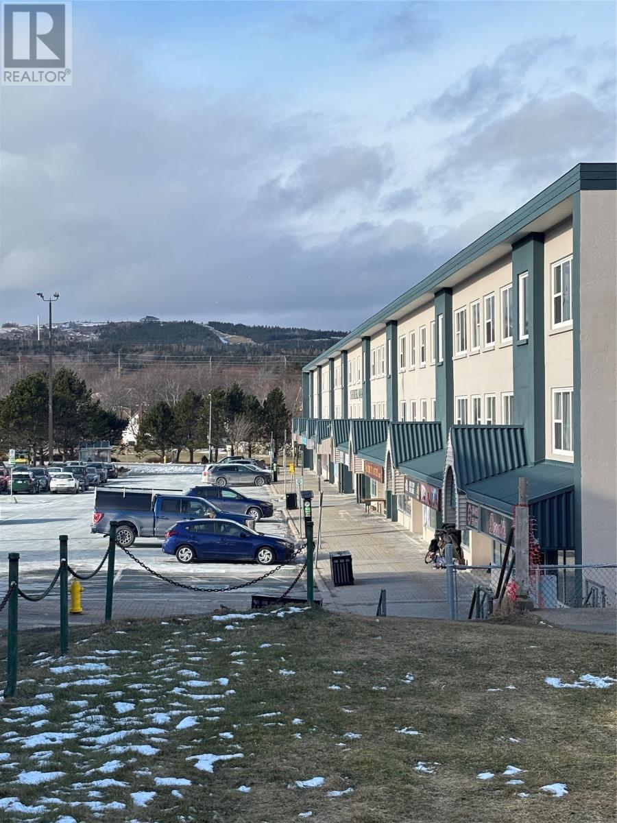 110 Lindon Place Unit#6, St. John's, Newfoundland & Labrador  A1B 2S9 - Photo 2 - 1294033