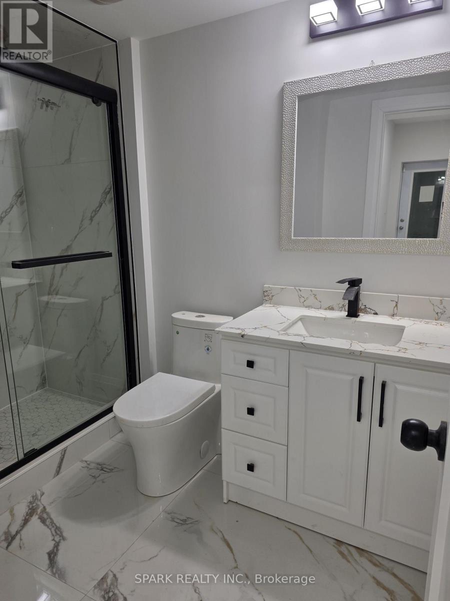 Basement - 1432 Yellow Rose Circle, Oakville, Ontario  L6M 5L2 - Photo 10 - W12731486