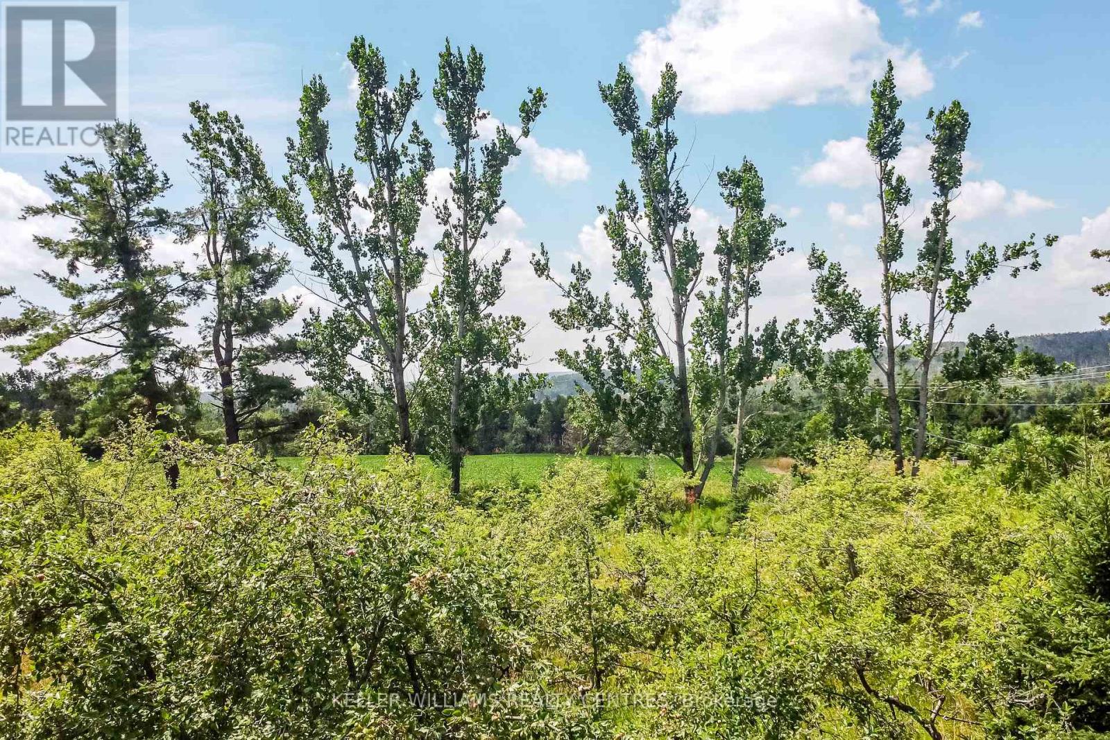 2928 12 Line N, Oro-Medonte, Ontario  L0K 1E0 - Photo 45 - S12731582