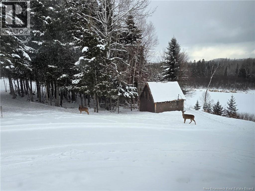 1492 Route 385, Oxbow, New Brunswick  E7G 3E8 - Photo 46 - NB132698