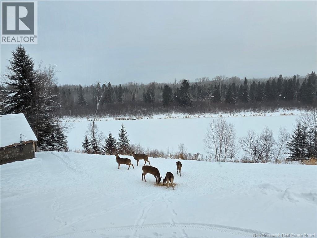 1492 Route 385, Oxbow, New Brunswick  E7G 3E8 - Photo 47 - NB132698