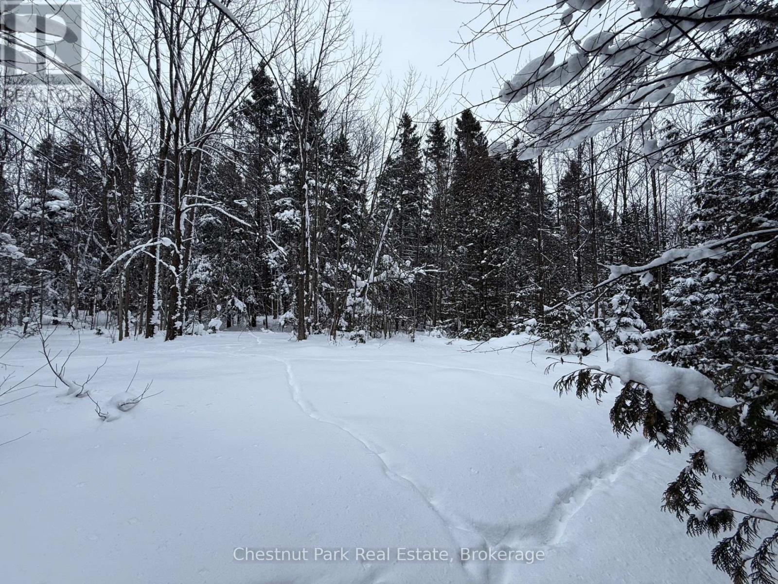 418573 Concession A, Meaford, Ontario  N4K 5N3 - Photo 48 - X12731750
