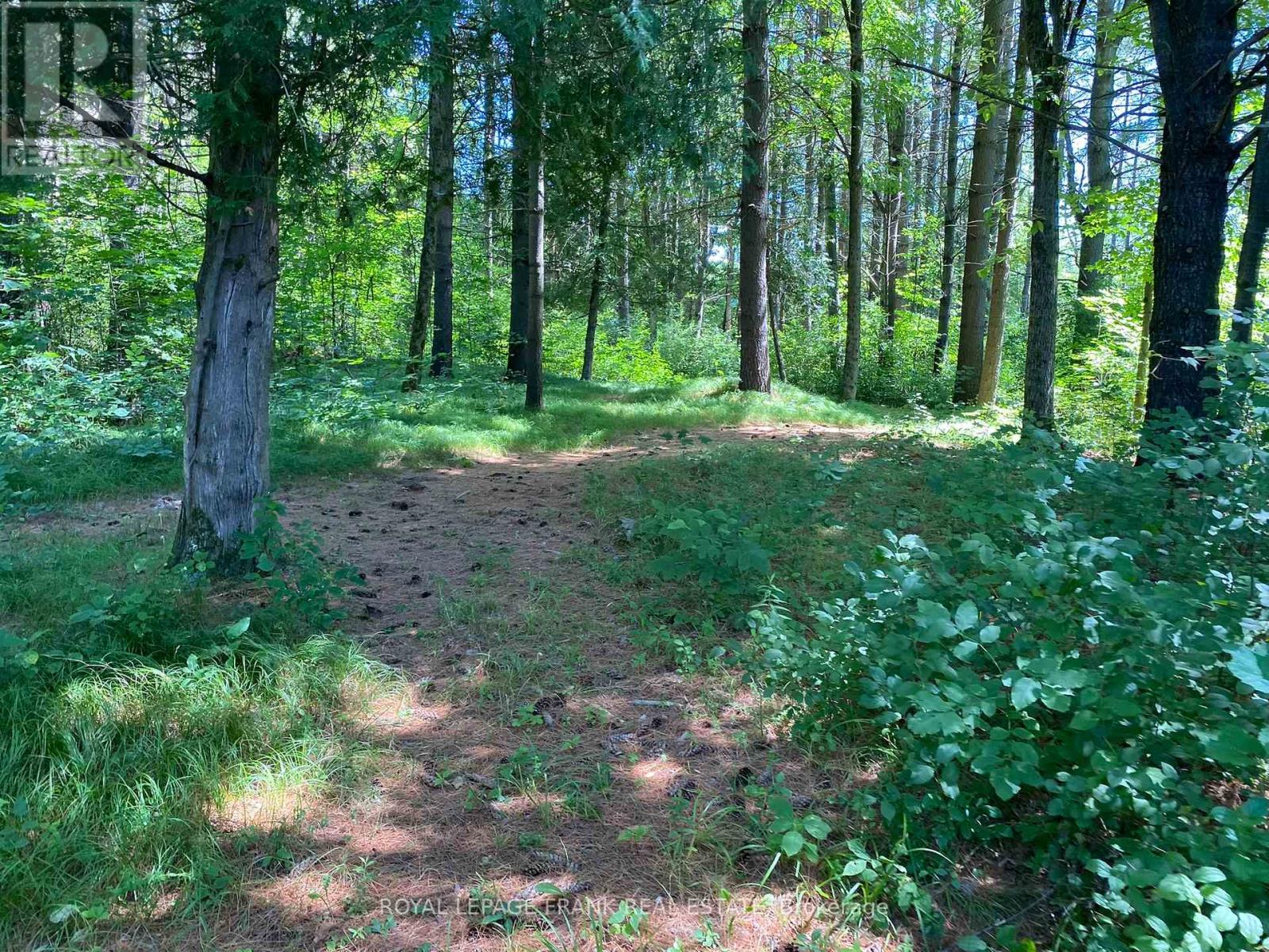 959 Bathurst 6 Concession, Tay Valley, Ontario  K7H 3C9 - Photo 43 - X12731698