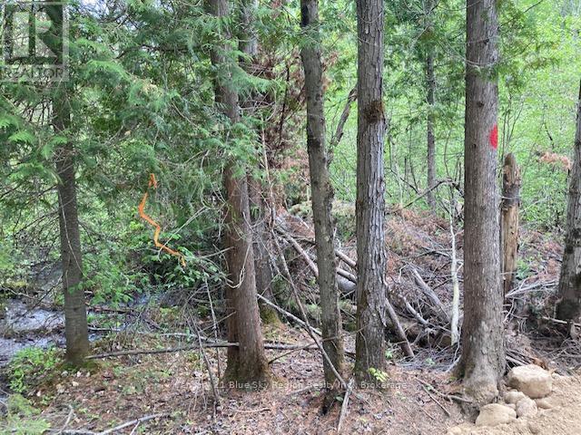 LOT 28 CONCESSION 11, Lake of Bays, Ontario