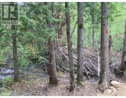 LOT 28 CONCESSION 11, Lake of Bays, Ontario