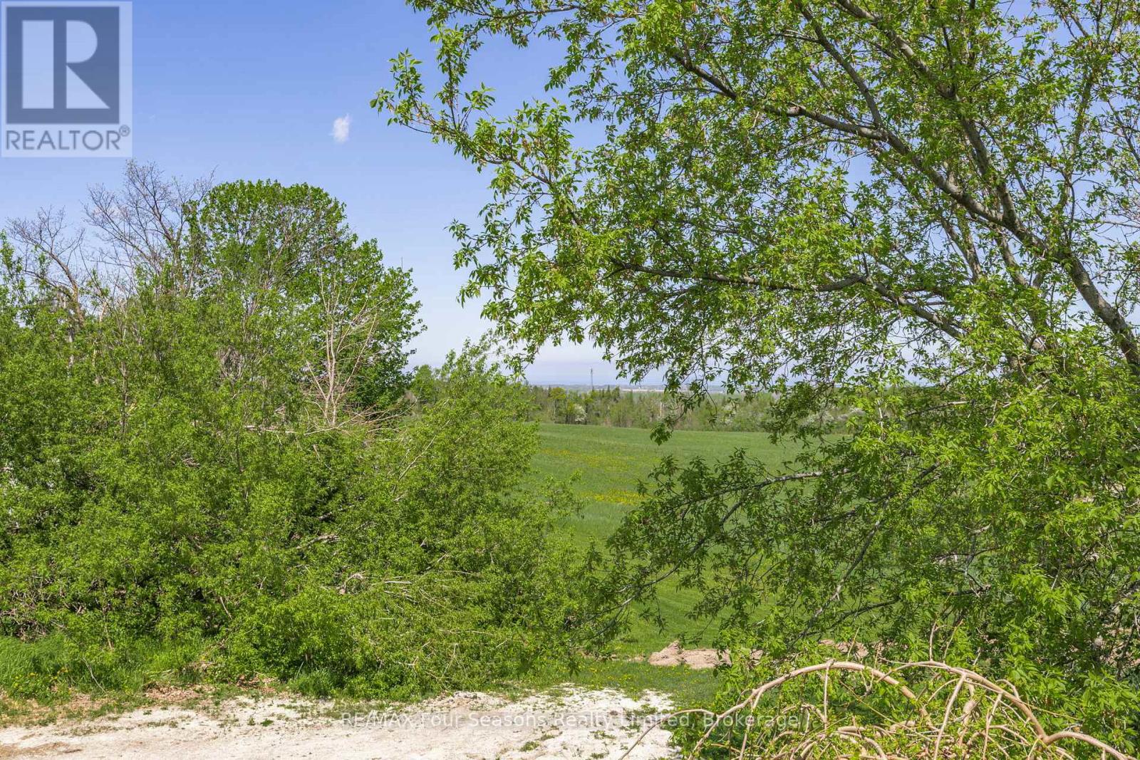 3 Sydenham Trail E, Clearview, Ontario  L0M 1H0 - Photo 43 - S12731946