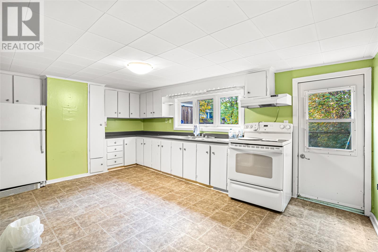 22 Spencer Street, St. John's, Newfoundland & Labrador  A1C 4H2 - Photo 2 - 1294131