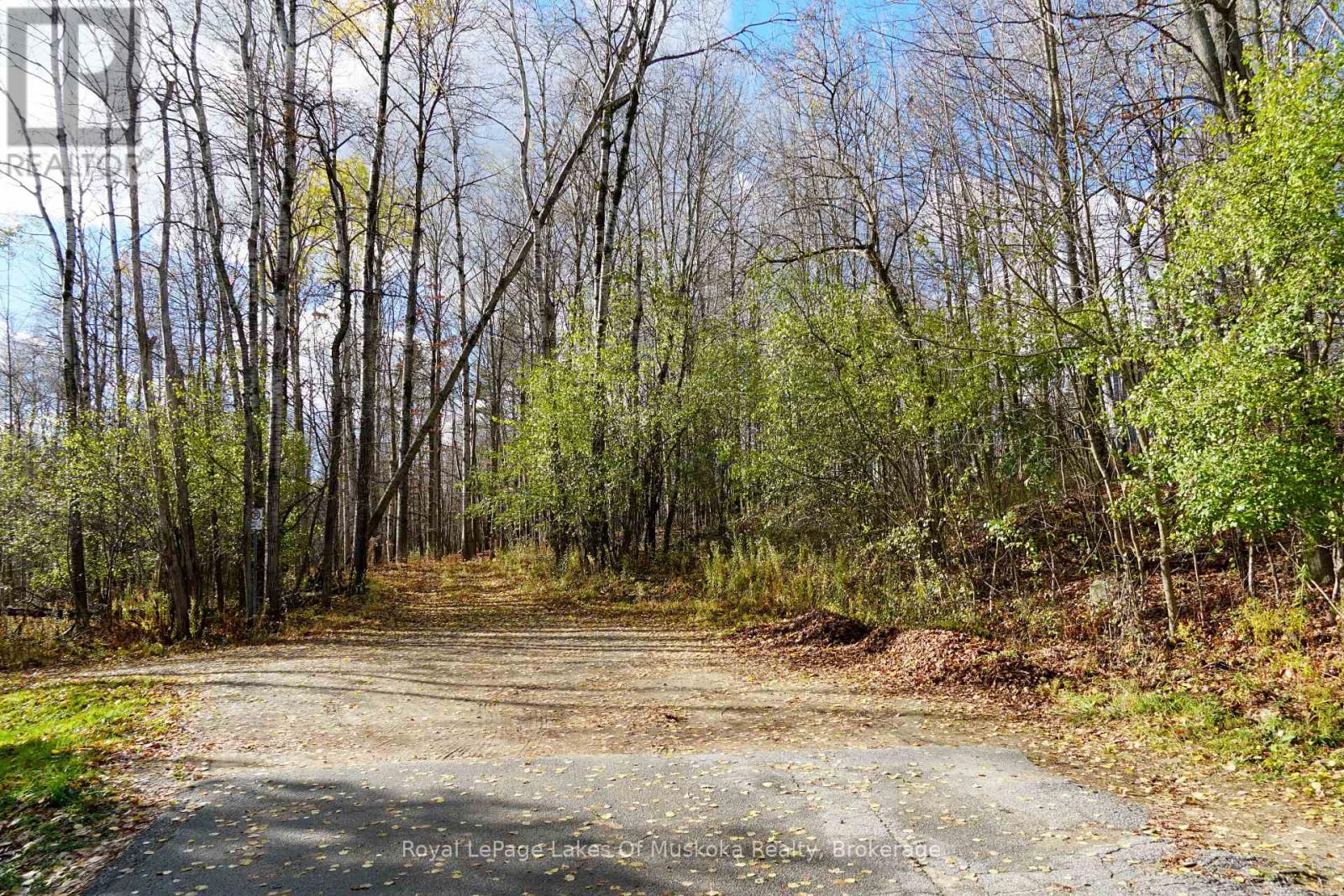 8 Rice Lane, Huntsville, Ontario  P1H 1V4 - Photo 7 - X12523984