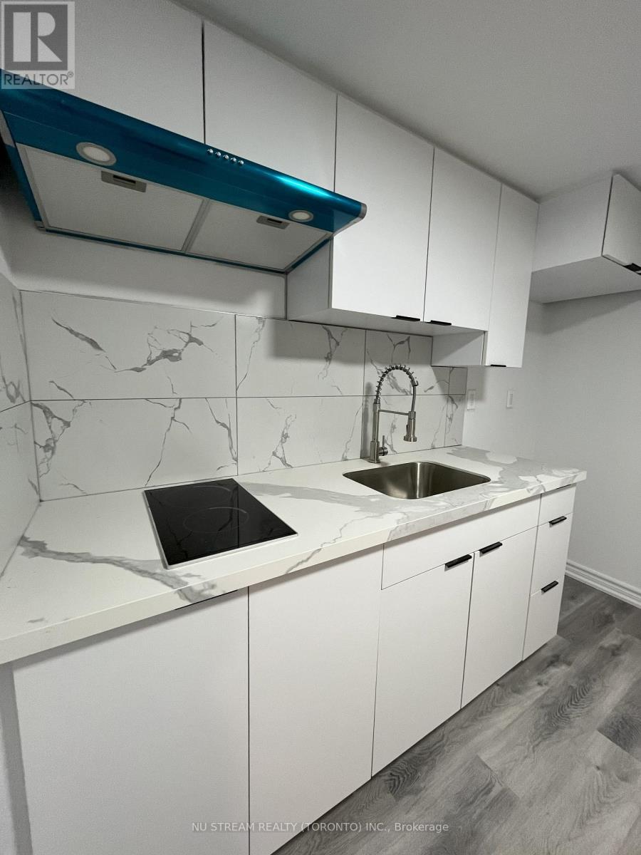 Lower B - 24 Dunboyne Court, Toronto, Ontario  M2R 2B7 - Photo 3 - C12732082