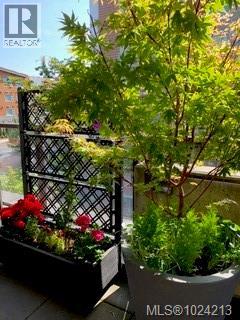 203 2461 Sidney Ave, Sidney, British Columbia  V8L 1Y8 - Photo 10 - 1024213