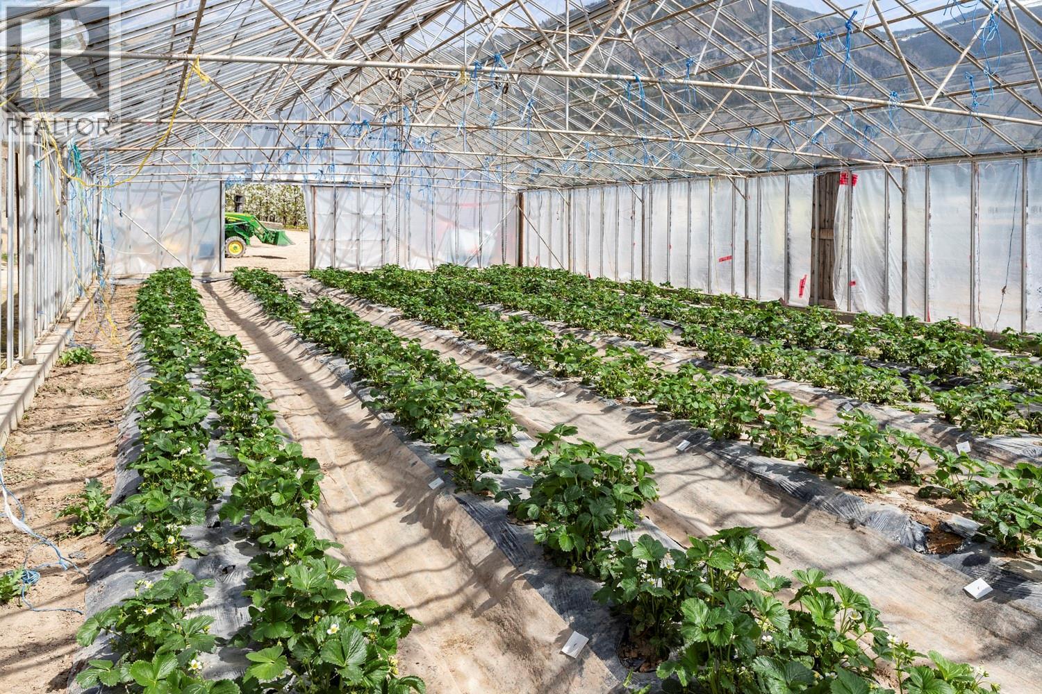 3851 3 Highway, Erickson, British Columbia V0B 1G0 - Photo 22 - 10372935