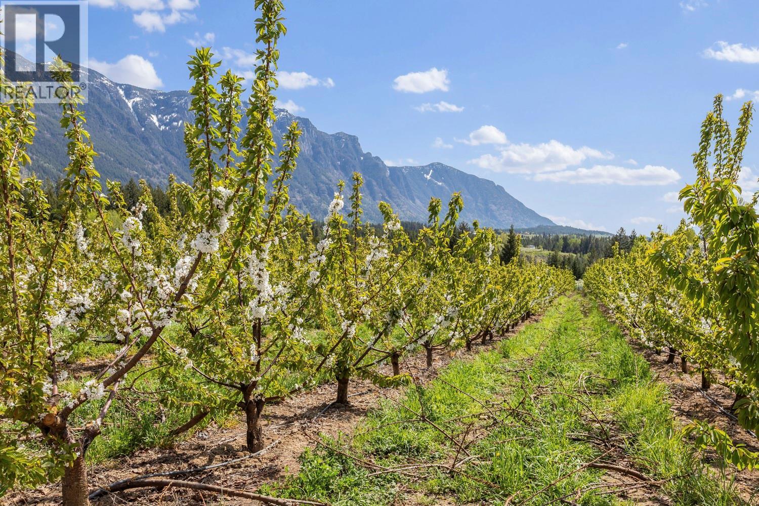 3851 3 Highway, Erickson, British Columbia V0B 1G0 - Photo 24 - 10372935