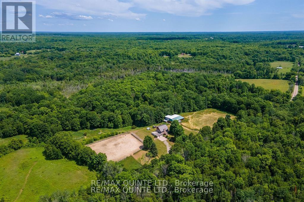 252 Maines Road, Tweed, Ontario  K0K 3H0 - Photo 1 - X12732390