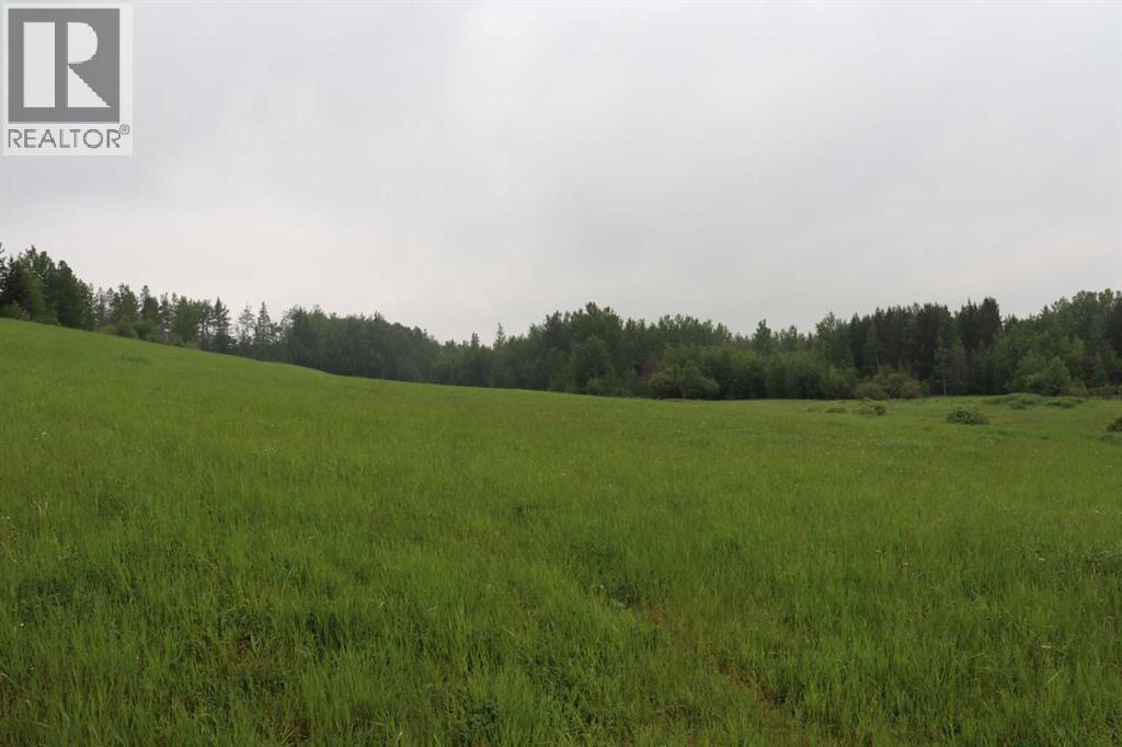 53218 Range Road 112, Rural Yellowhead County, Alberta  T7E 5A6 - Photo 29 - A2280188