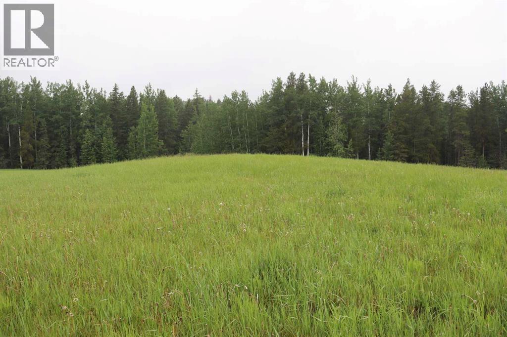 53218 Range Road 112, Rural Yellowhead County, Alberta  T7E 5A6 - Photo 19 - A2280188