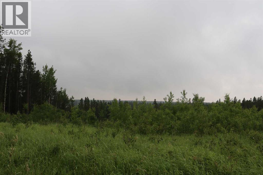 53218 Range Road 112, Rural Yellowhead County, Alberta  T7E 5A6 - Photo 27 - A2280188