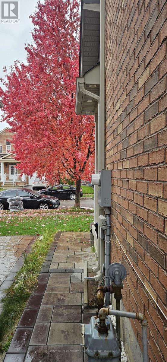 Basement - 21 Iceland Poppy Trail, Brampton, Ontario  L7A 0M9 - Photo 2 - W12732704