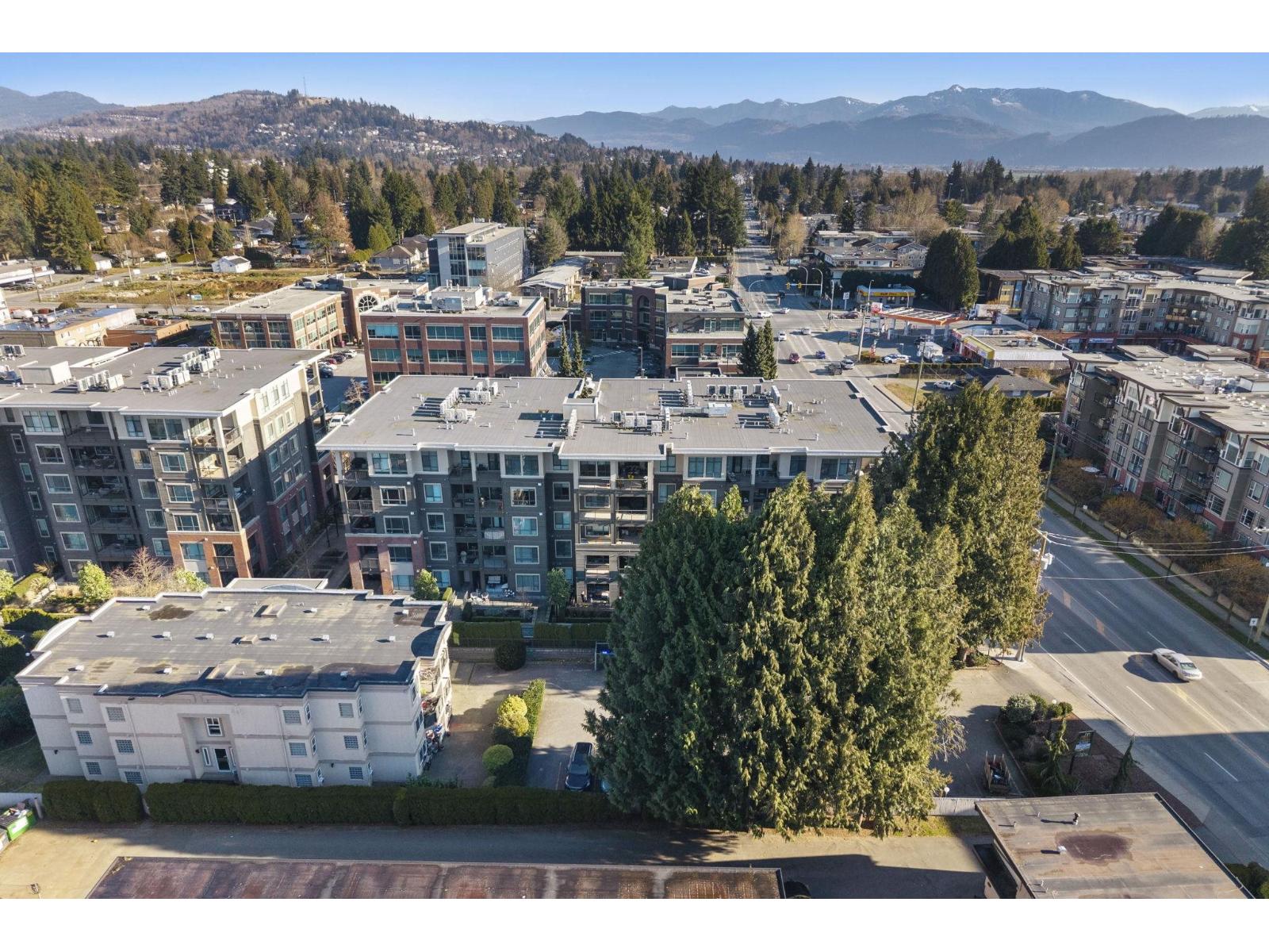 309 33540 Mayfair Avenue, Abbotsford, British Columbia  V2S 0J3 - Photo 37 - R3083015