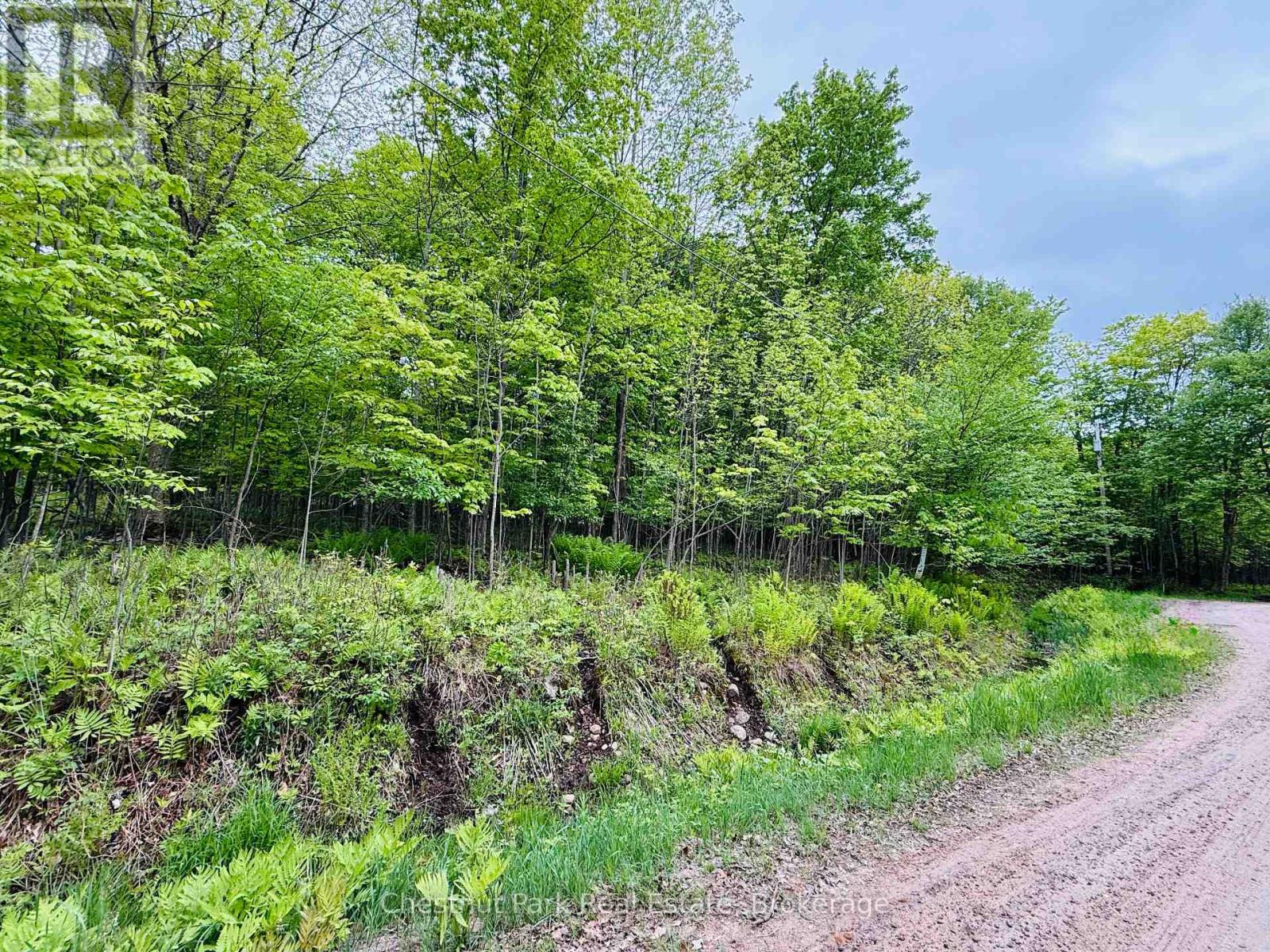 23 Maple Ridge Road, Nipissing, Ontario  P0A 1Z0 - Photo 8 - X12732804