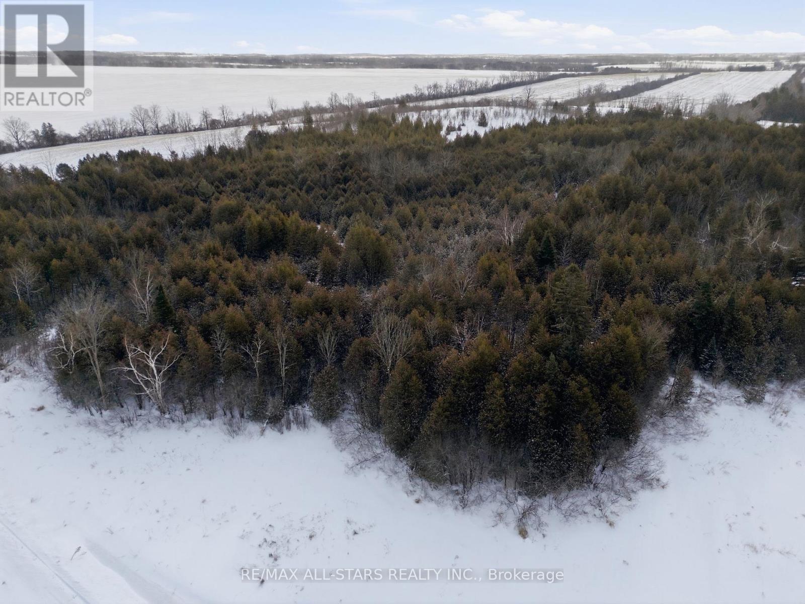 735 Concession 9 Road, Brock, Ontario  L0C 1H0 - Photo 31 - N12732742