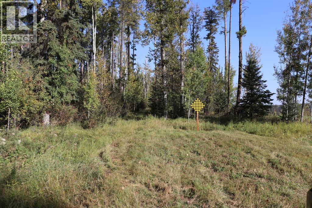 Se-13-53-17, Rural Yellowhead County, Alberta  T7E 3E4 - Photo 8 - A2270966