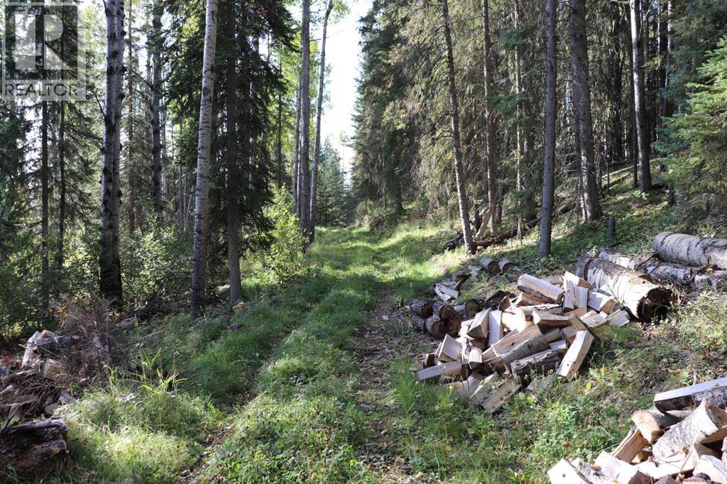 Se-13-53-17, Rural Yellowhead County, Alberta  T7E 3E4 - Photo 10 - A2270966