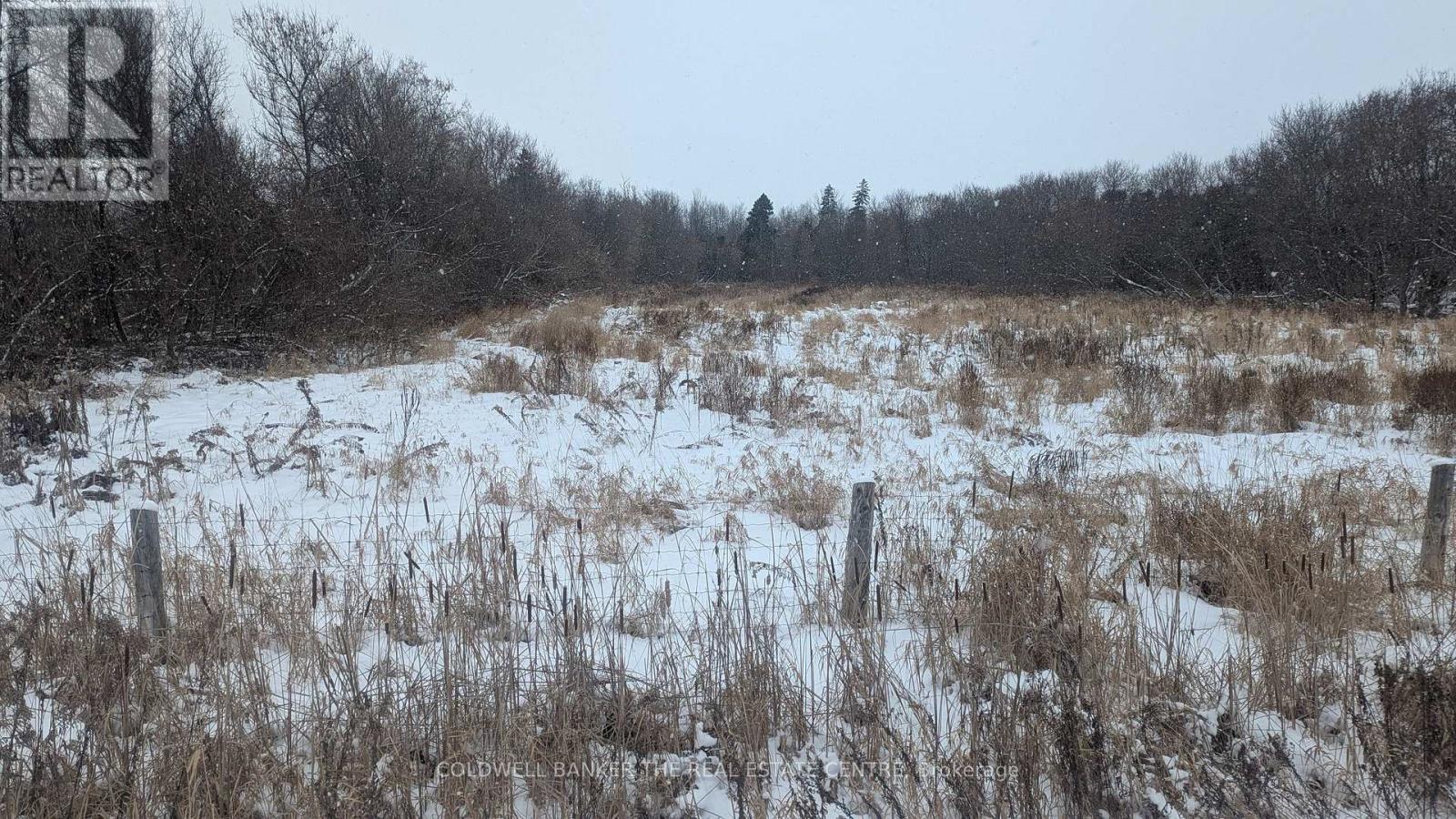 2884 County Rd 89, Innisfil, Ontario  L0L 1L0 - Photo 21 - N12461890