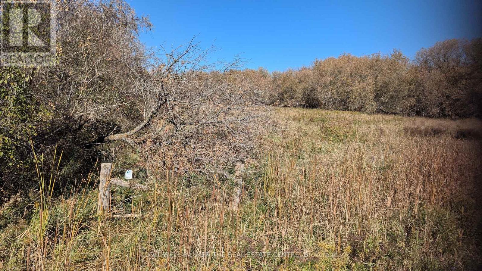 2884 County Rd 89, Innisfil, Ontario  L0L 1L0 - Photo 23 - N12461904