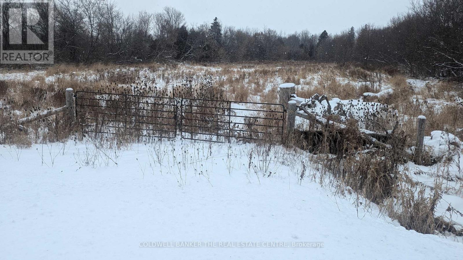 2884 County Rd 89, Innisfil, Ontario  L0L 1L0 - Photo 6 - N12461904