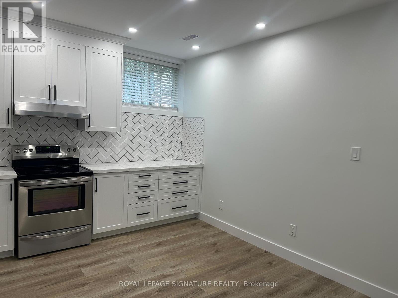 Bsmt - 49 Alexander Boulevard, Georgina, Ontario  L0E 1L0 - Photo 4 - N12732874