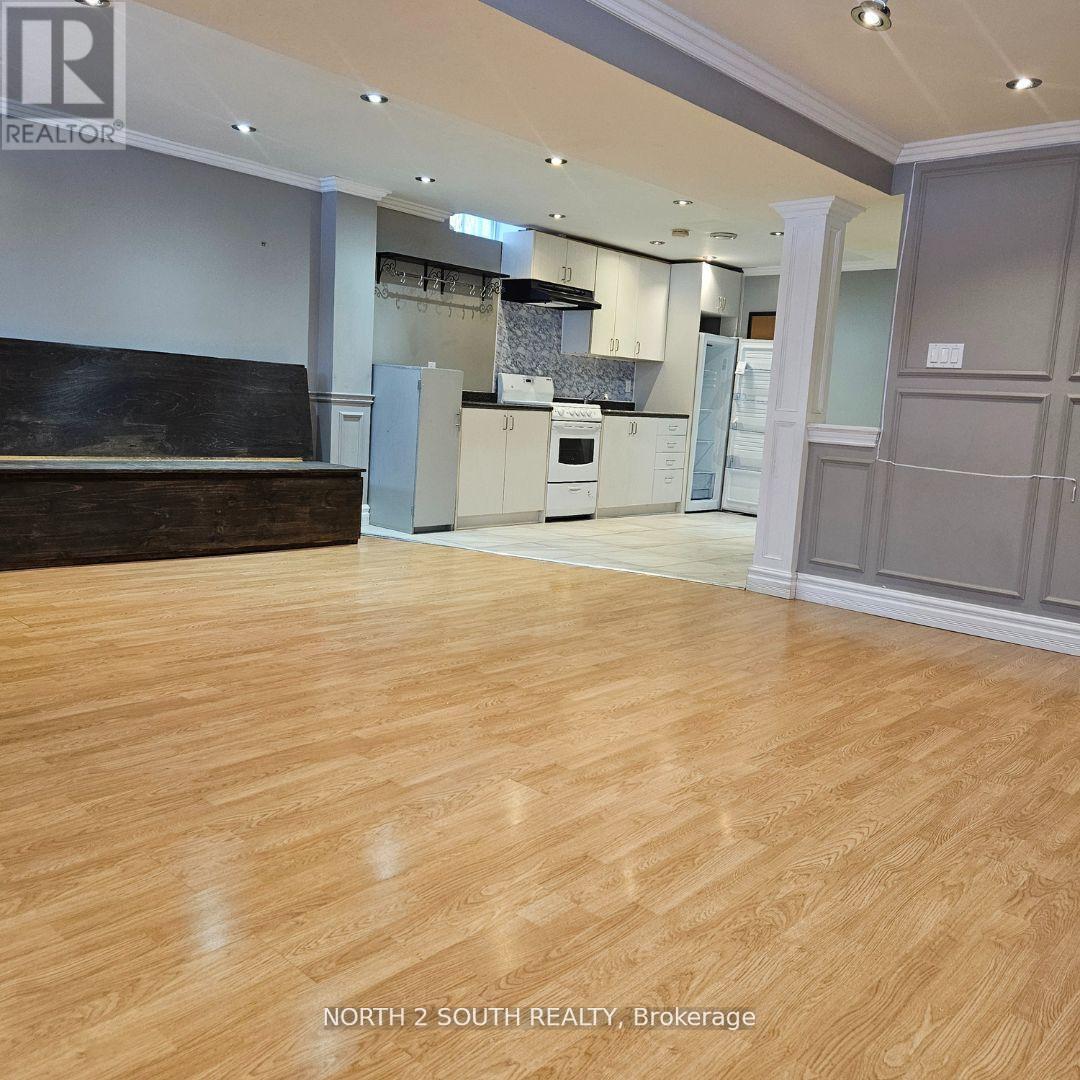 Lower - 397 Terry Drive, Newmarket, Ontario  L3Y 5E3 - Photo 3 - N12732912